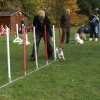 agility 2011-10-30